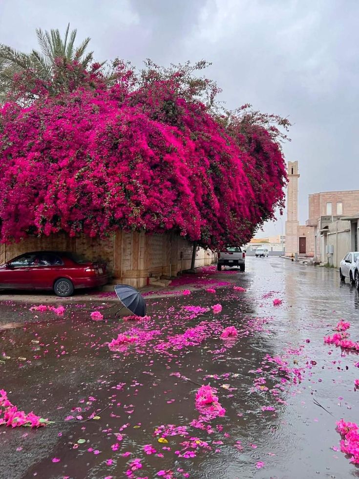 He Who Witnesses tweet media