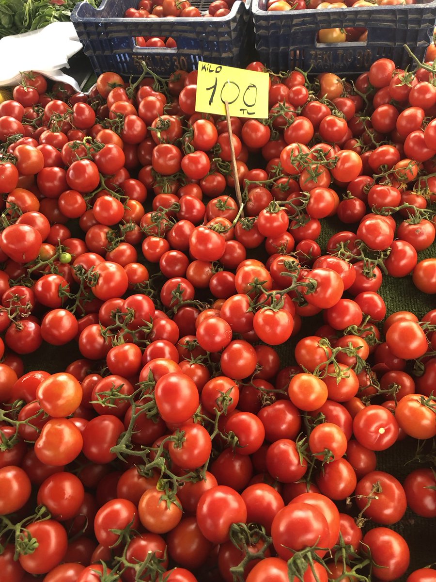 FARUK GÜNEŞ tweet media