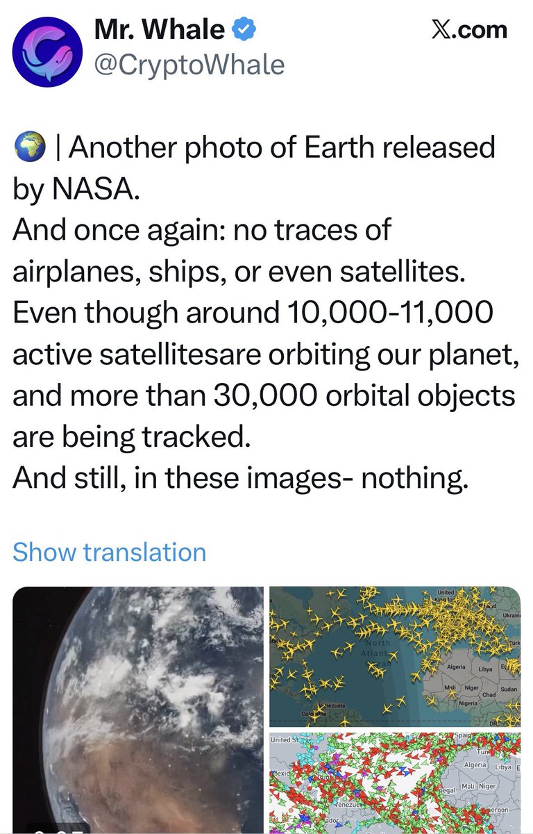 LaBombetta Rettiliana ™️👽 tweet media