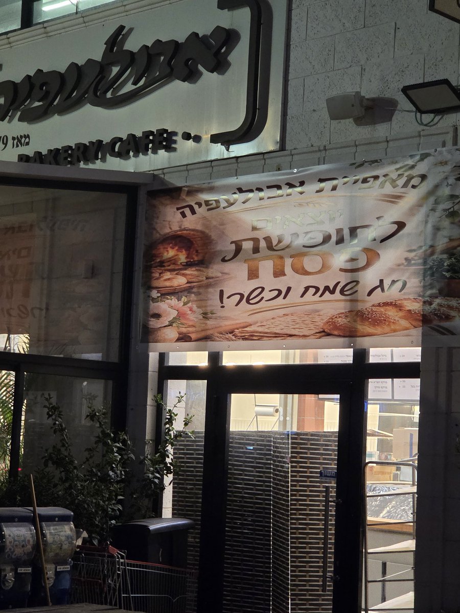 כנרת בראשי kinneret barashi tweet media