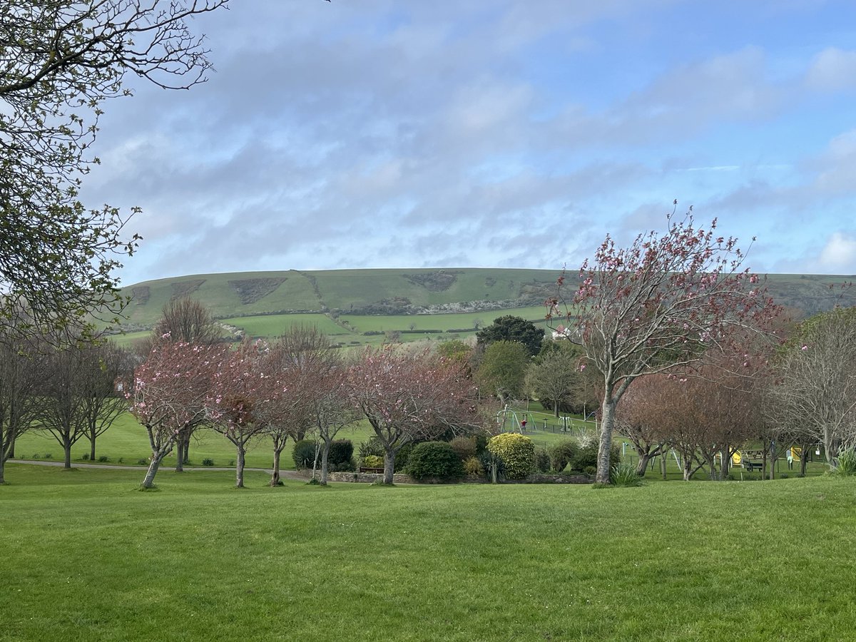 Ian Tattum tweet media