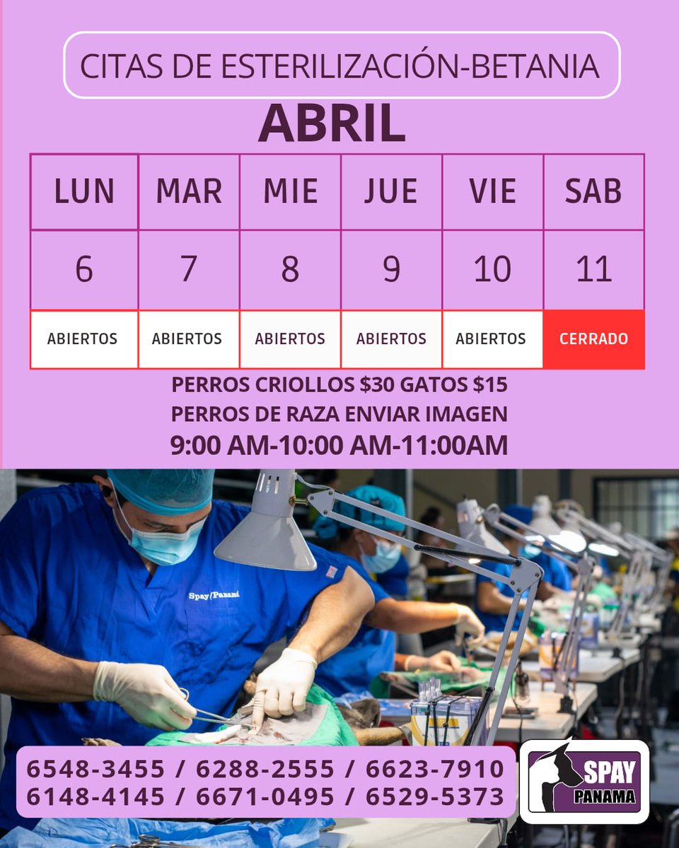 Spay Panama tweet media