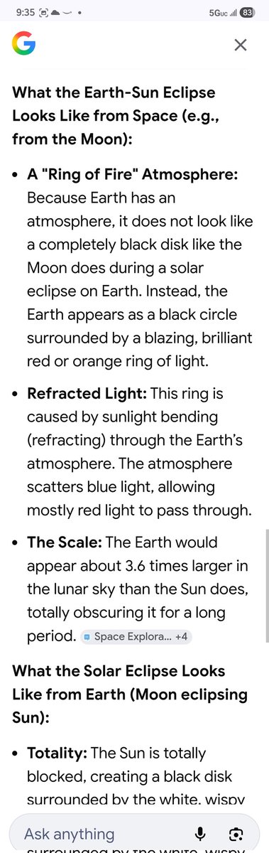 🦺 Lilly tweet media