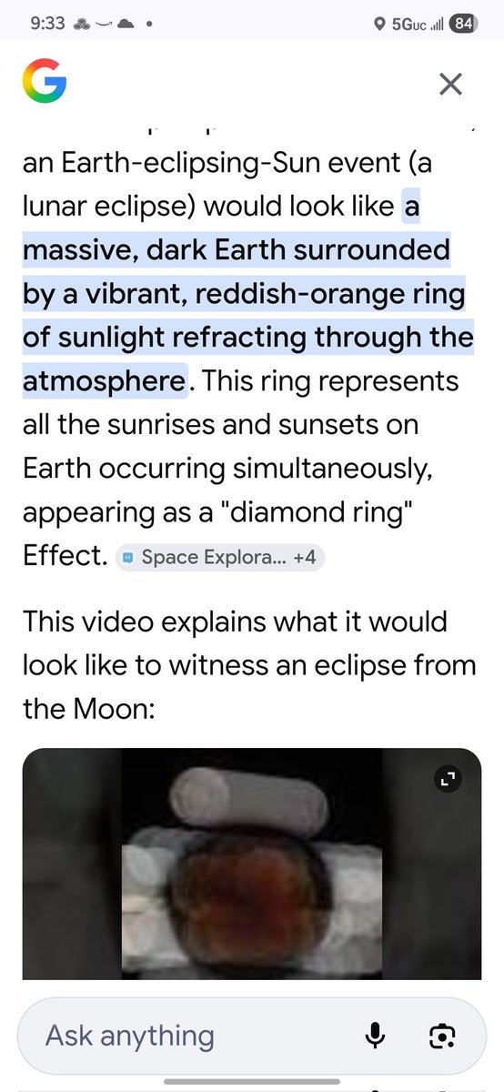 🦺 Lilly tweet media