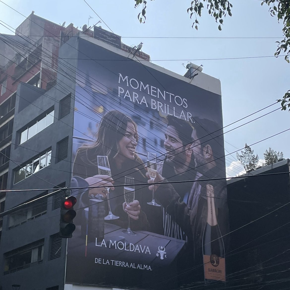 aoife 🎧🌸 tweet media