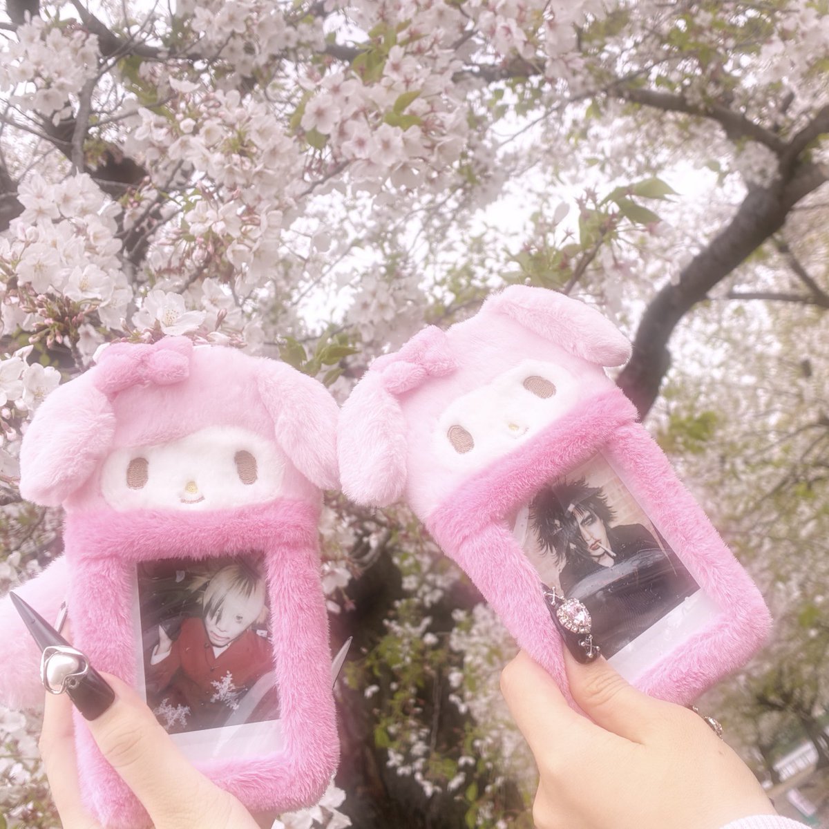 まくろ！♡ tweet media