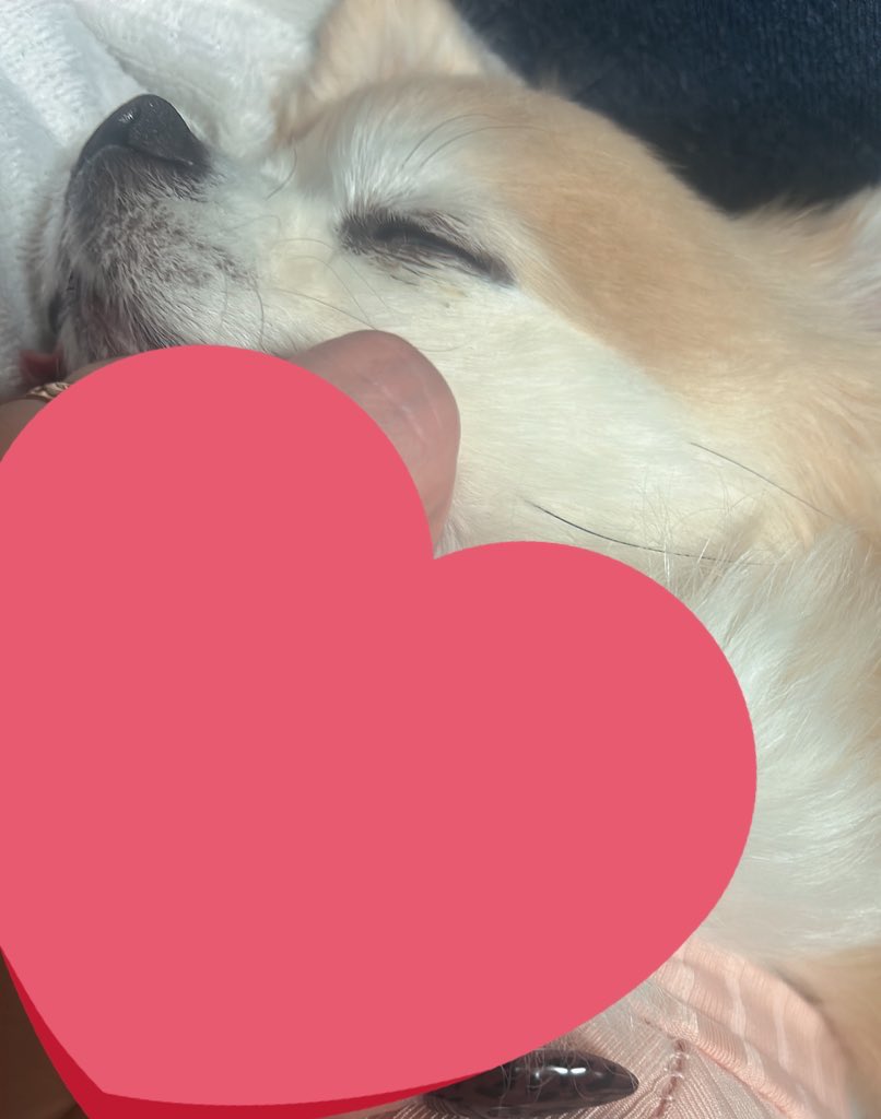 mana deco 🐝 tweet media