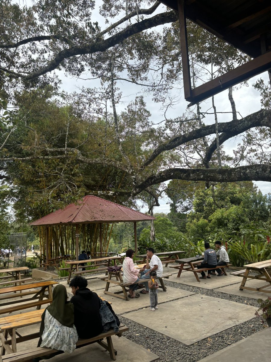 aufanasdq's tweet photo. lanjut mendaki bukit (pake mobil) ke Puncak Taruko, ada cafe syahdu utk menikmati view Ngarai Sianok, lembah yg terbentuk alami dari patahan lempeng bumi ceunah, be prepared buat nanjak di jalan yg super sempit, selain cafe ini sepanjang jalan jg banyak pilihan cafe lainnya https://t.co/wijhJ6TZzc