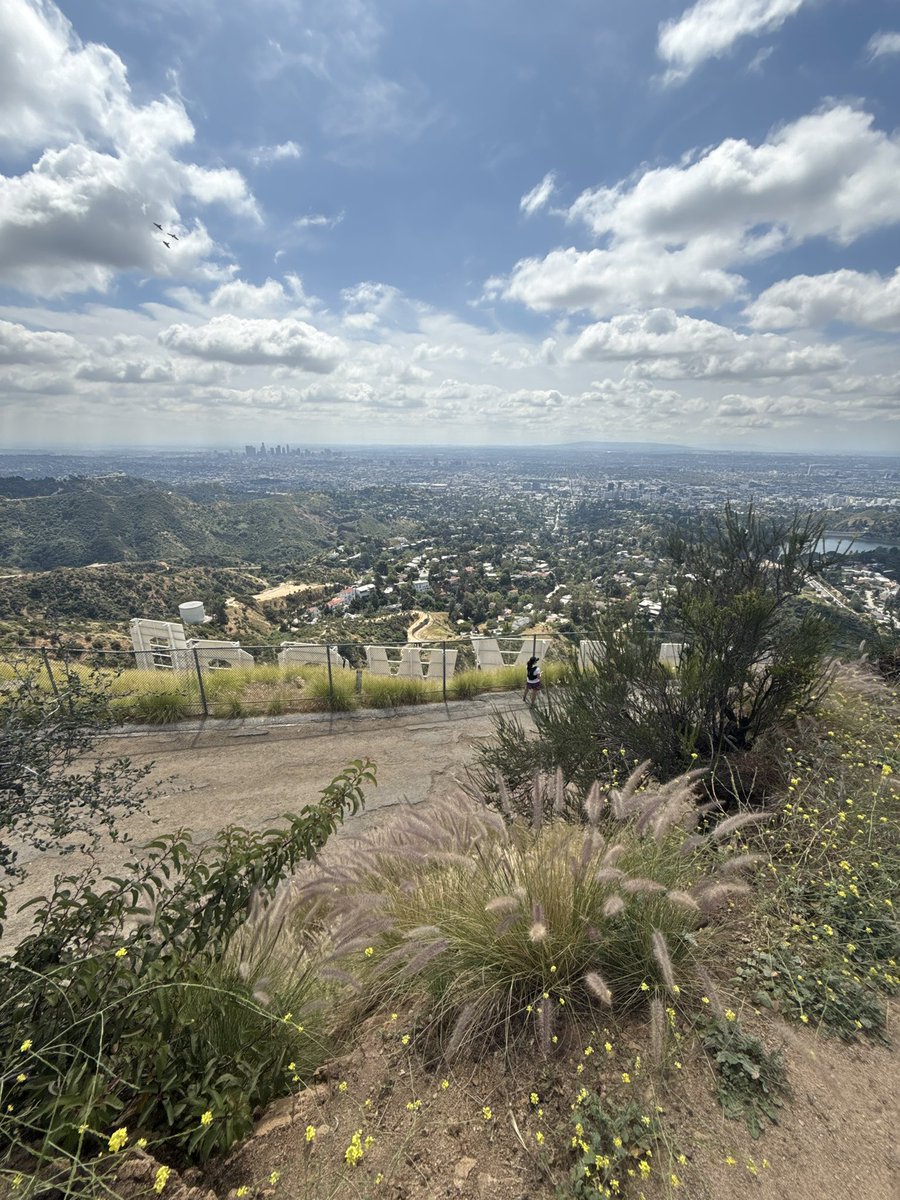 ♡₊˚ 𝓟・₊✧ tweet media