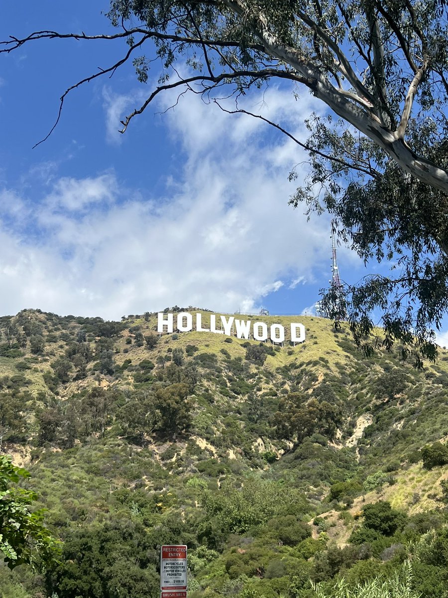 ♡₊˚ 𝓟・₊✧ tweet media