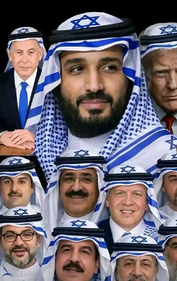 There is no youth like Ali, and no sword like Zulf tweet media