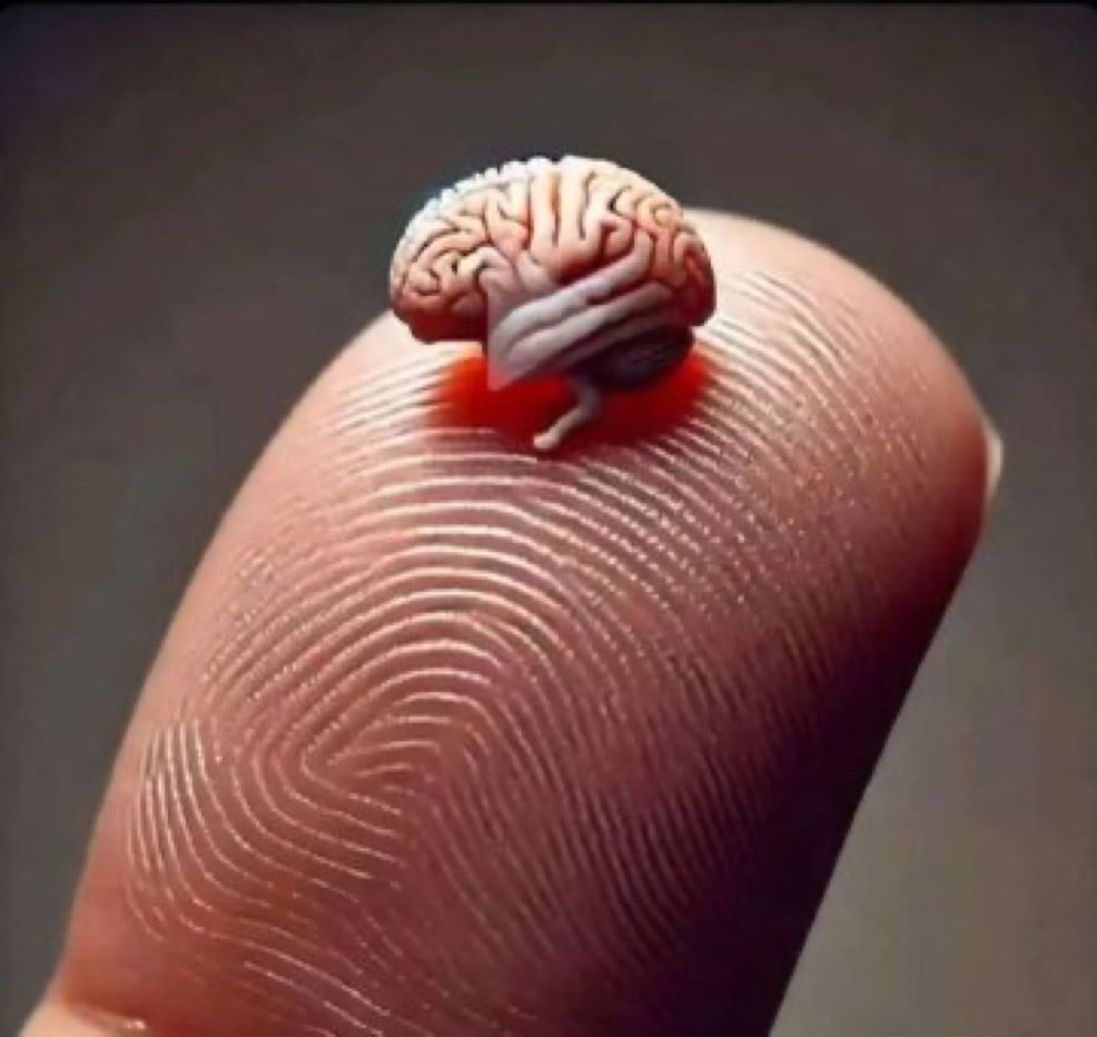 WhatTheHell 🇩🇪🇮🇱🇺🇸 tweet media