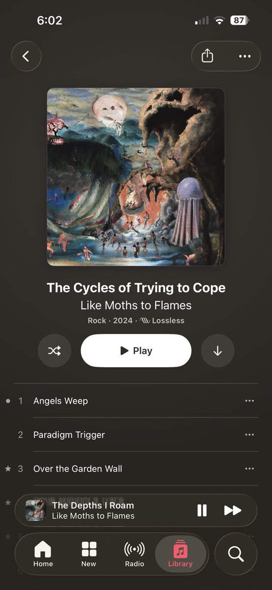 sean🐆 tweet media