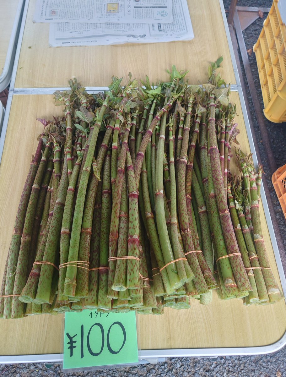 ヒマ人 tweet media