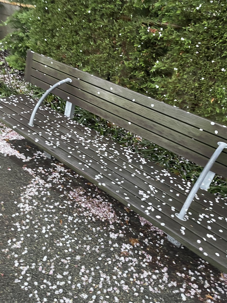 AMY MAKINO tweet media