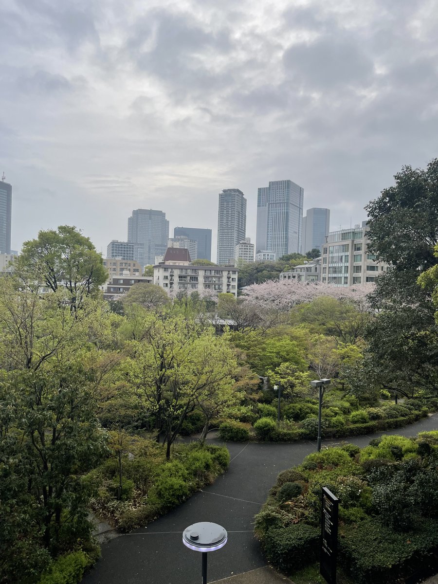 AMY MAKINO tweet media