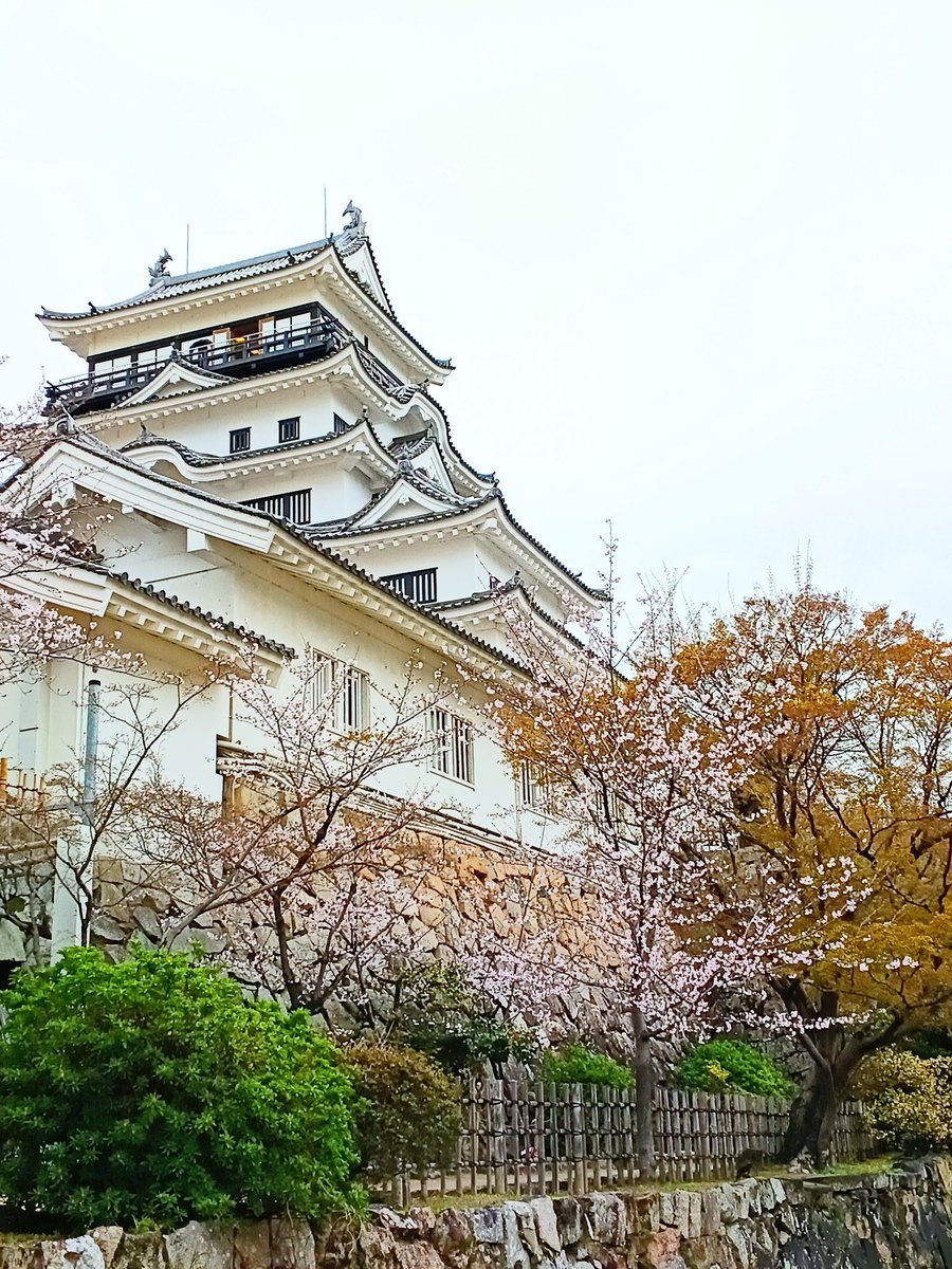 みつる tweet media