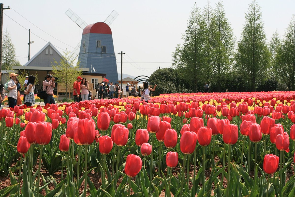 みつる tweet media