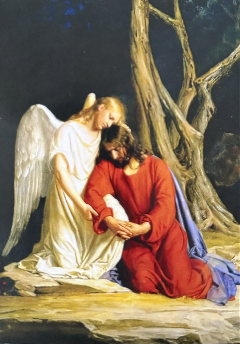 Joe McBride tweet media