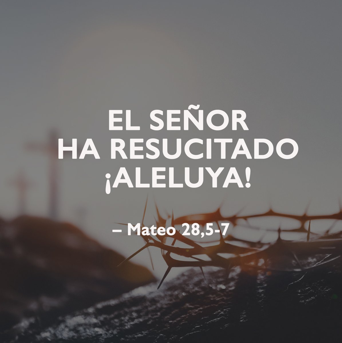 Padre Rafa tweet media