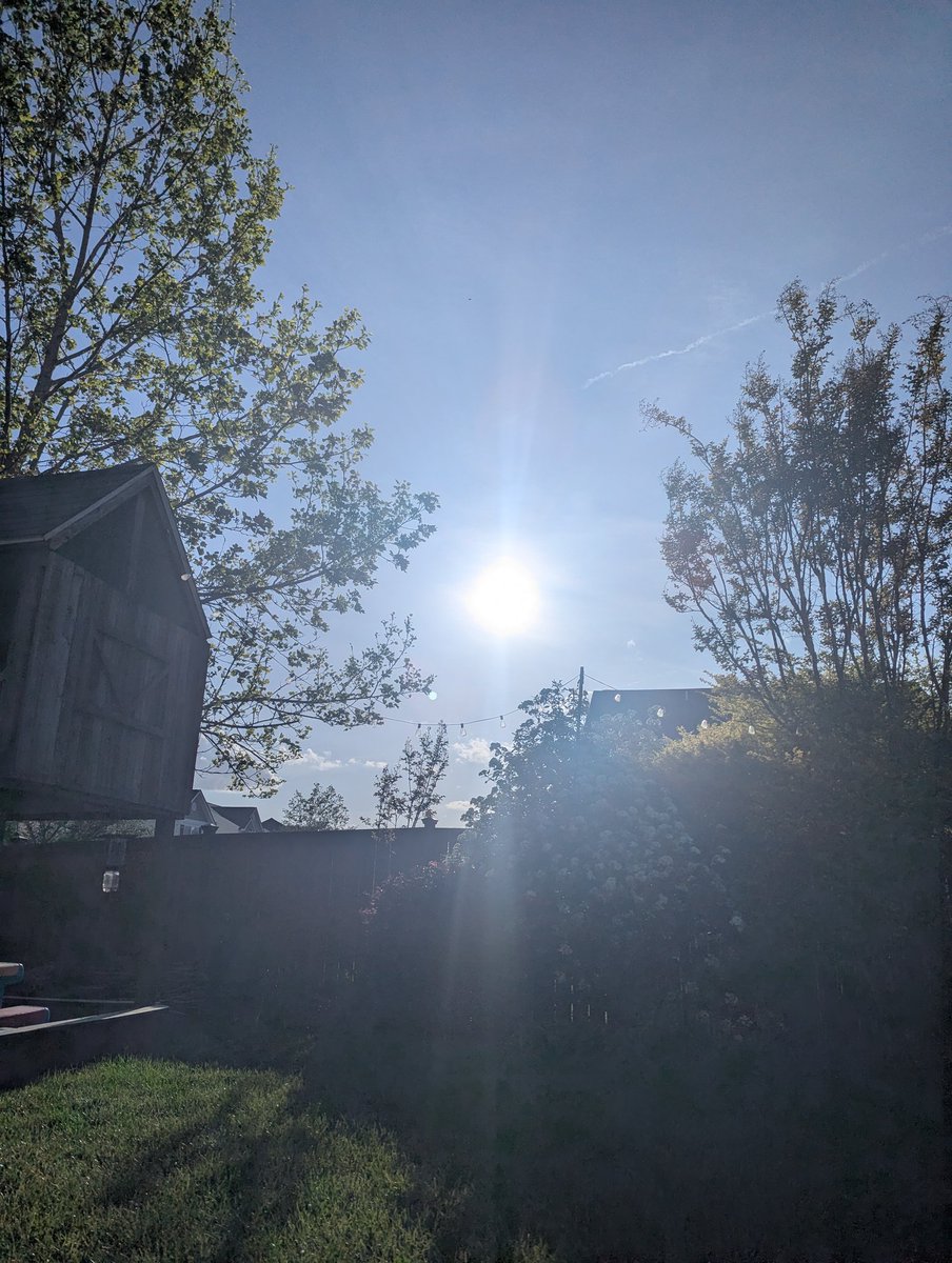 Today I will sunbath while listening to the history of the rise of the Bukshevics. Brutal contrast.