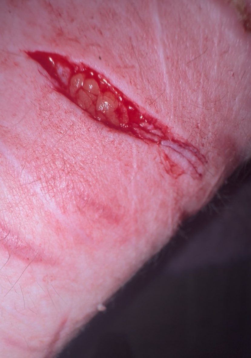 ˙Arrow˙/Cyno ➳ shtwt tweet media