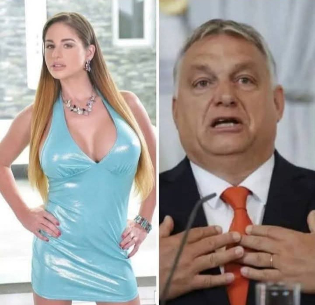 Olena Rohoza tweet media