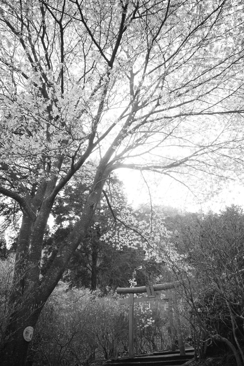 んなぁちゃん tweet media