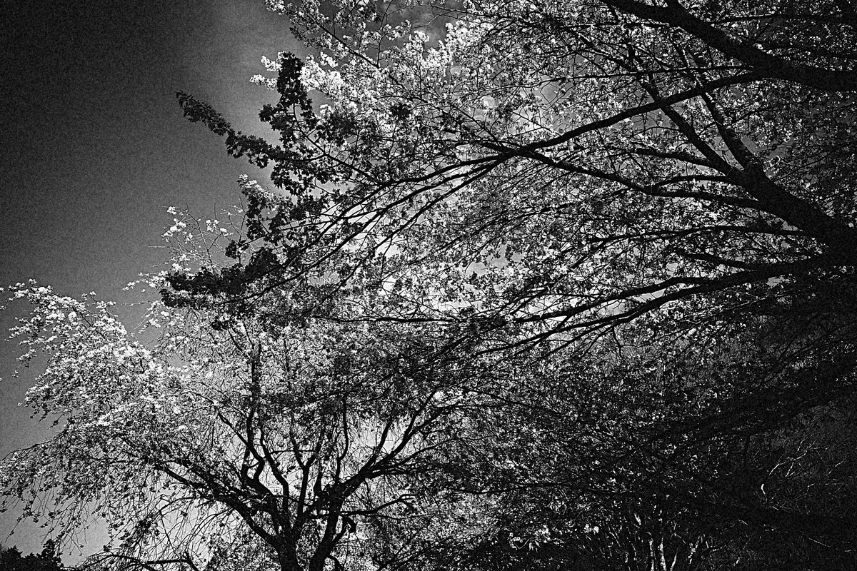 んなぁちゃん tweet media