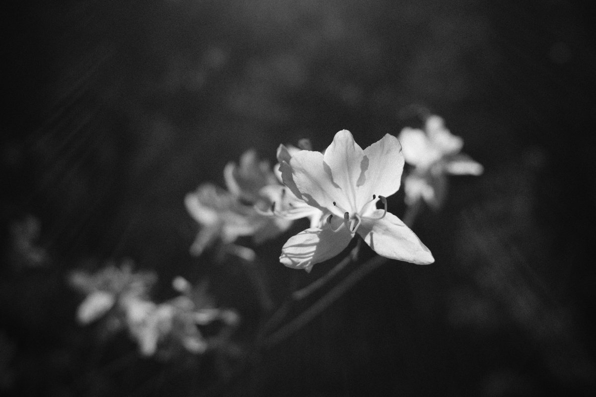 んなぁちゃん tweet media