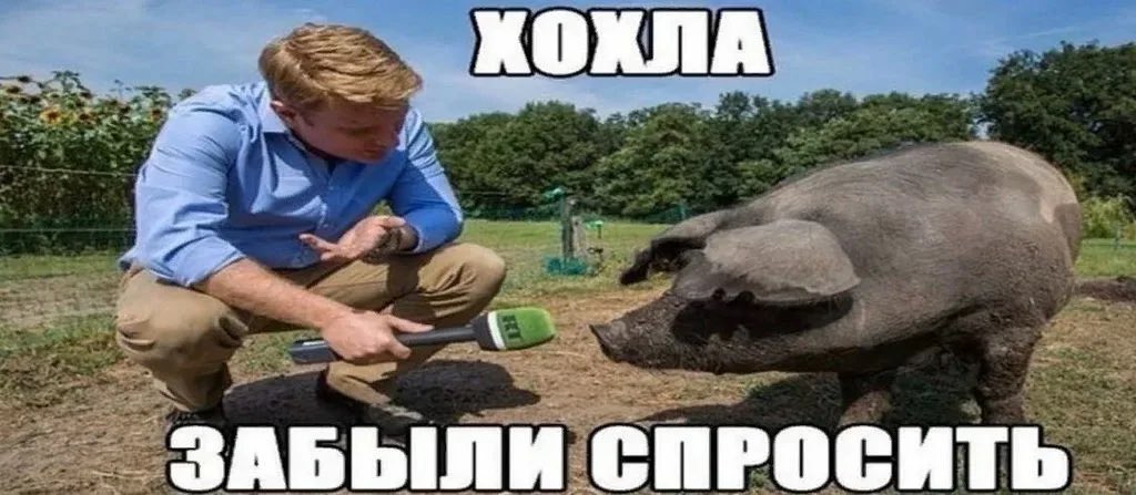 Alex Нeadliner tweet media