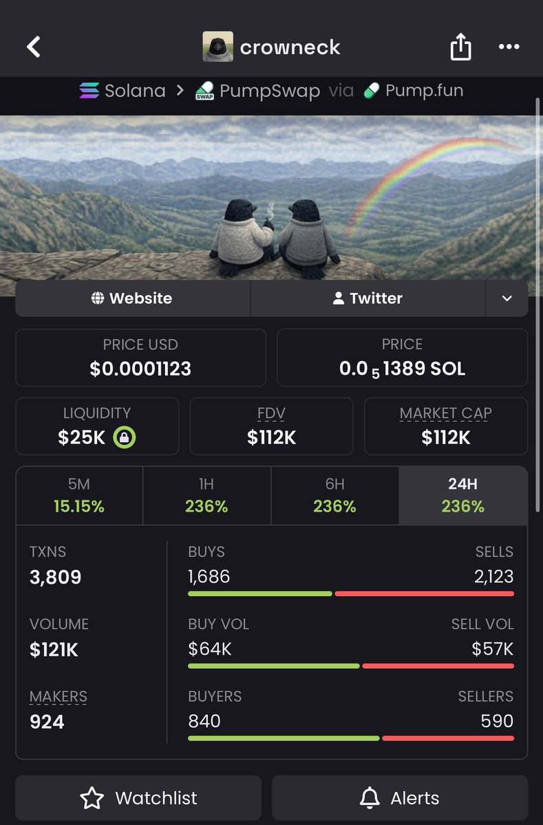 Greig Sol Coach tweet media