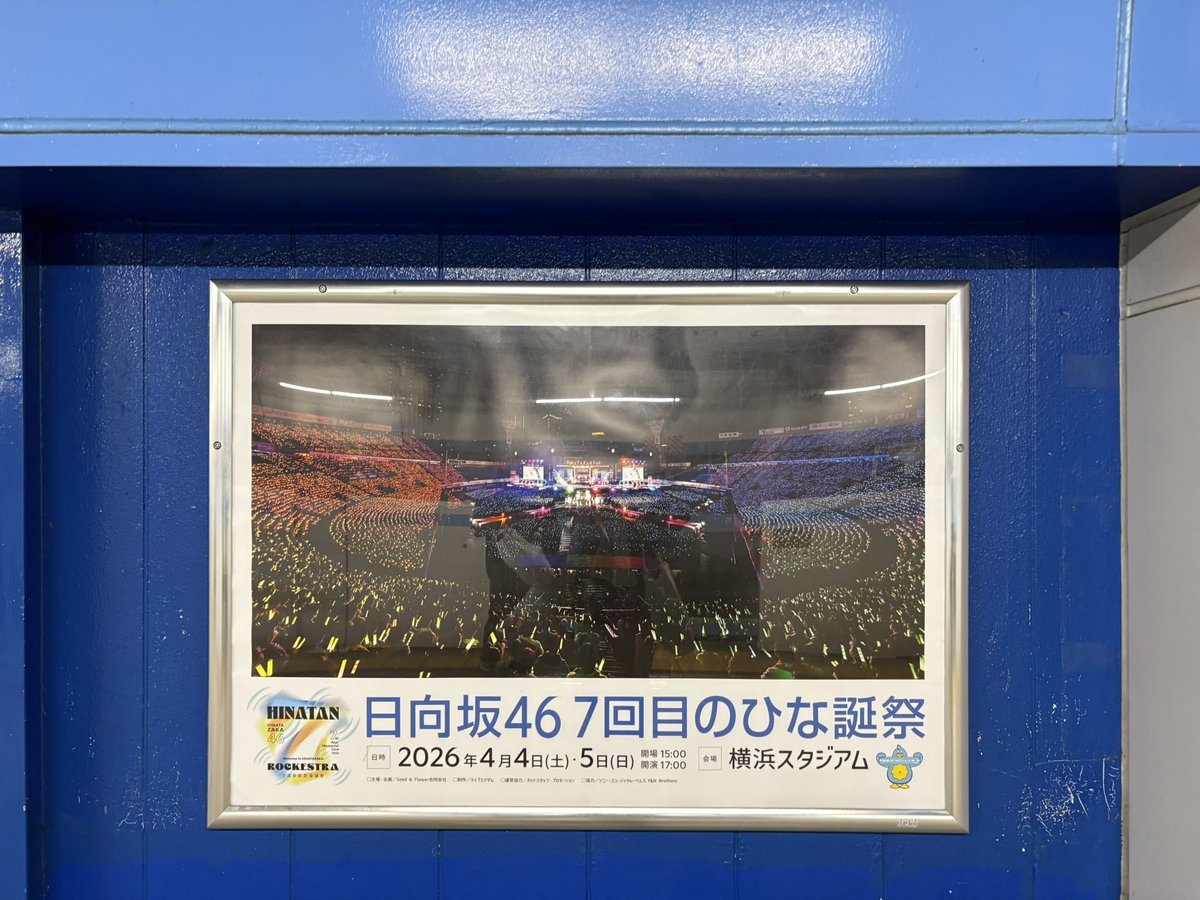 カズミ◢⁴⁶ tweet media