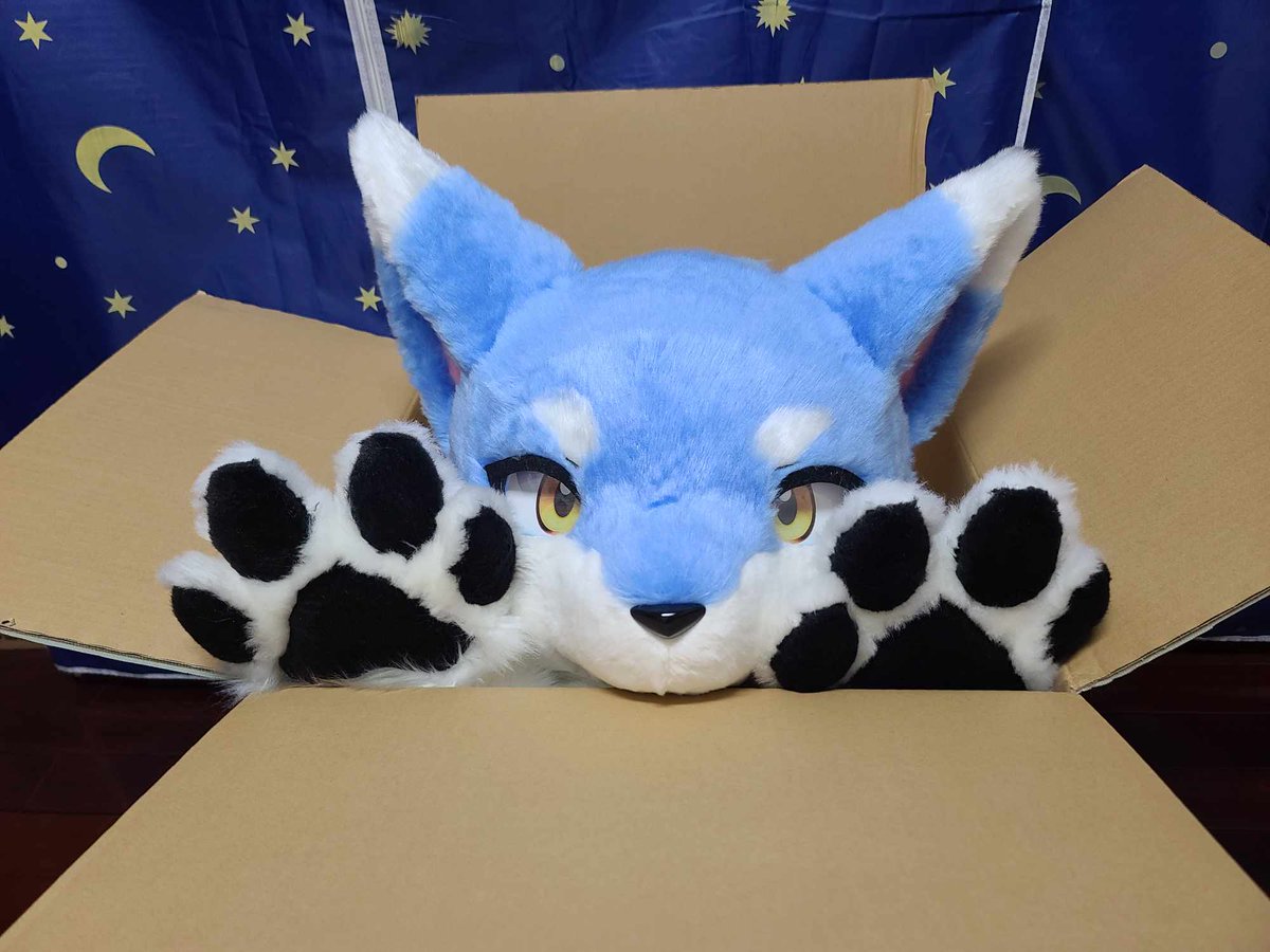 滄泫Sougen ➡️UTFG tweet media