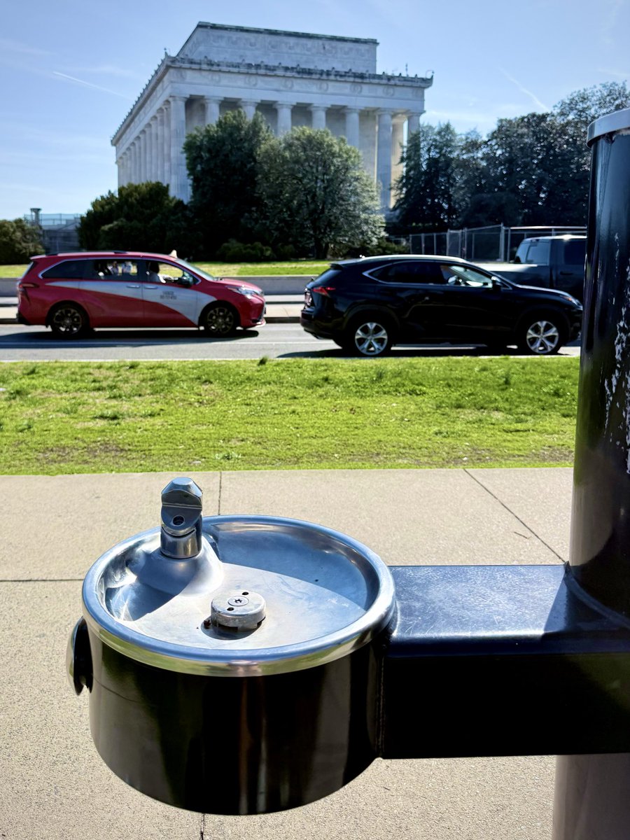 emily miller tweet media