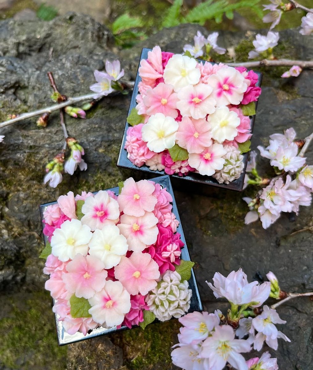 Ruu。。 tweet media