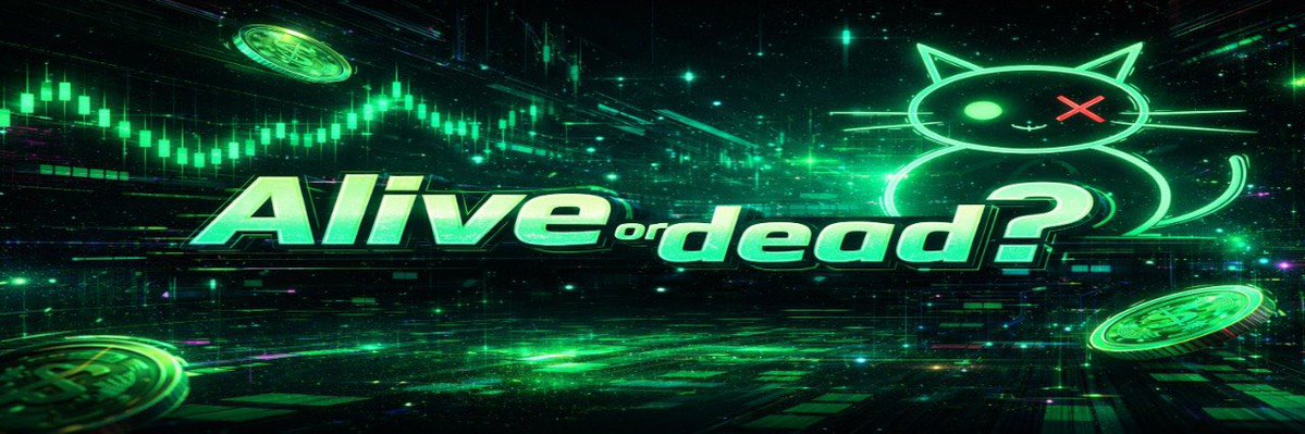 Erwin’s Box tweet media