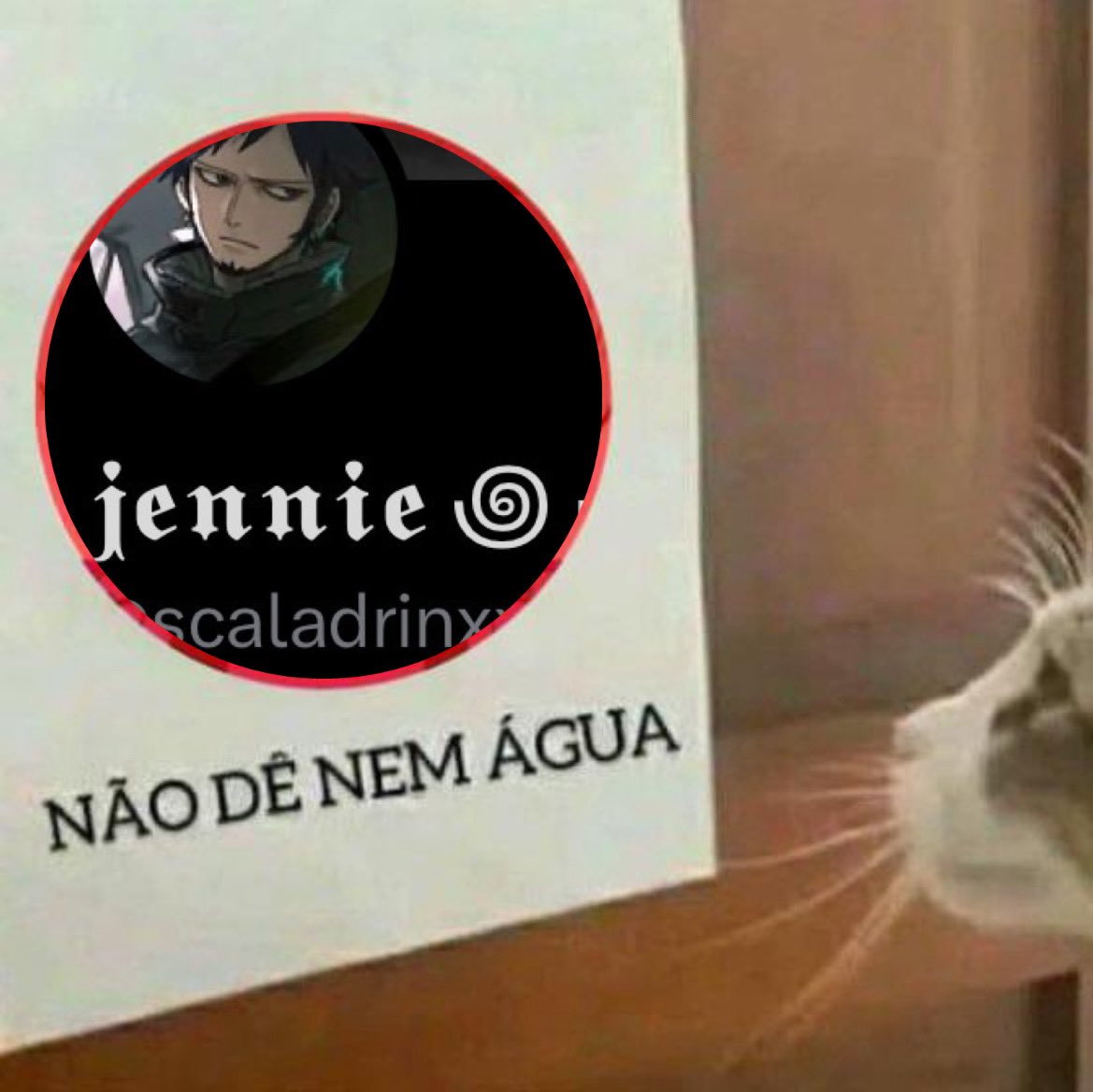 Luiza☽☾ tweet media