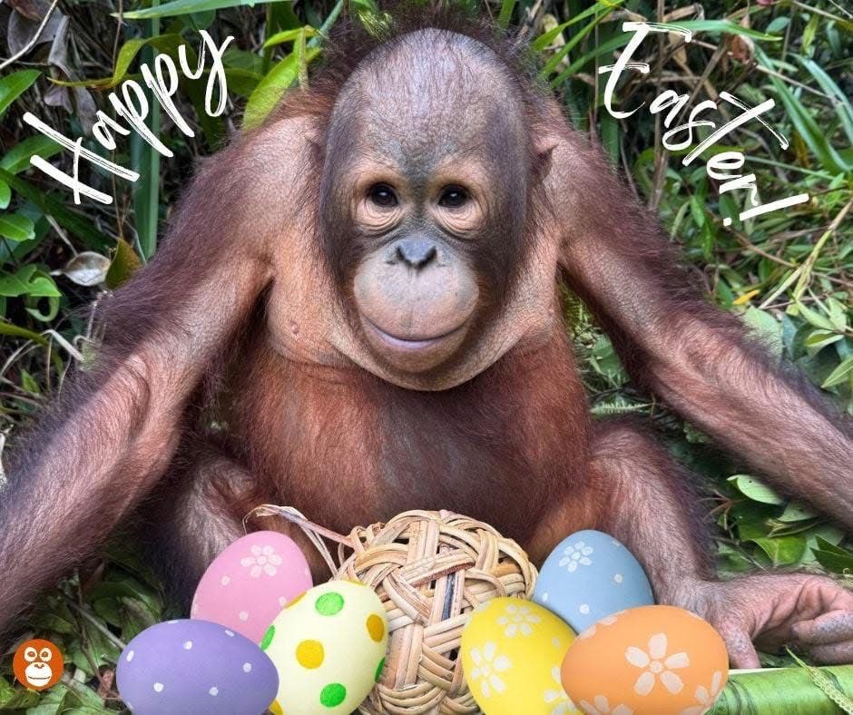 🧸 LAUREN 🧸 tweet media