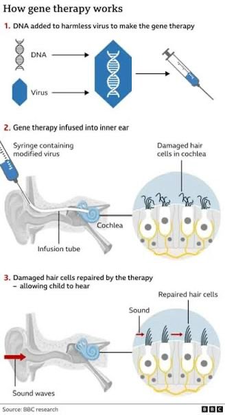 Daniel, Allan Omara tweet media