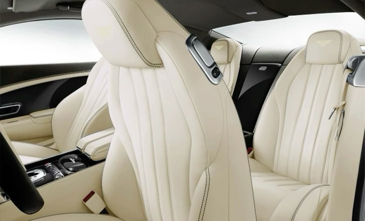 تَـرف tweet media