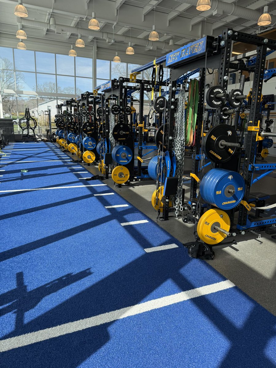 Max Bucci tweet media