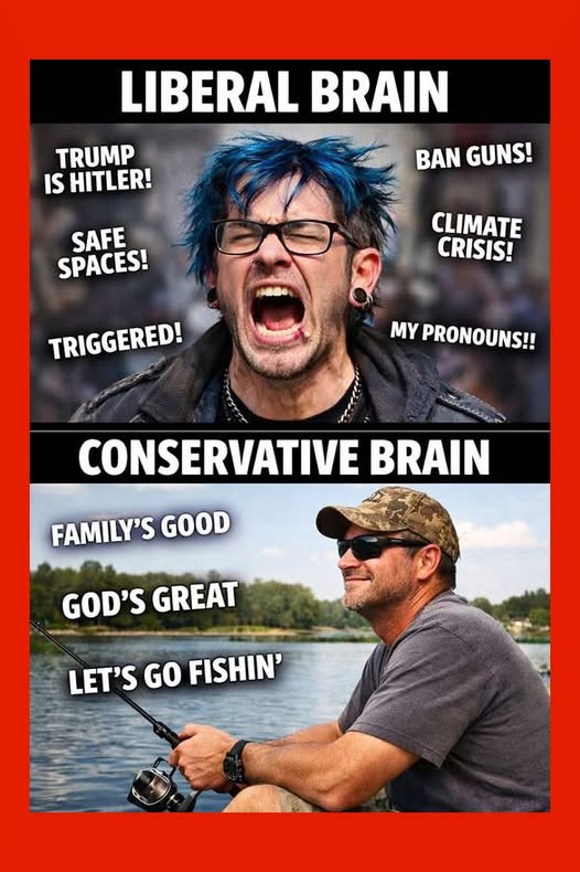 NWRain-Judi tweet media