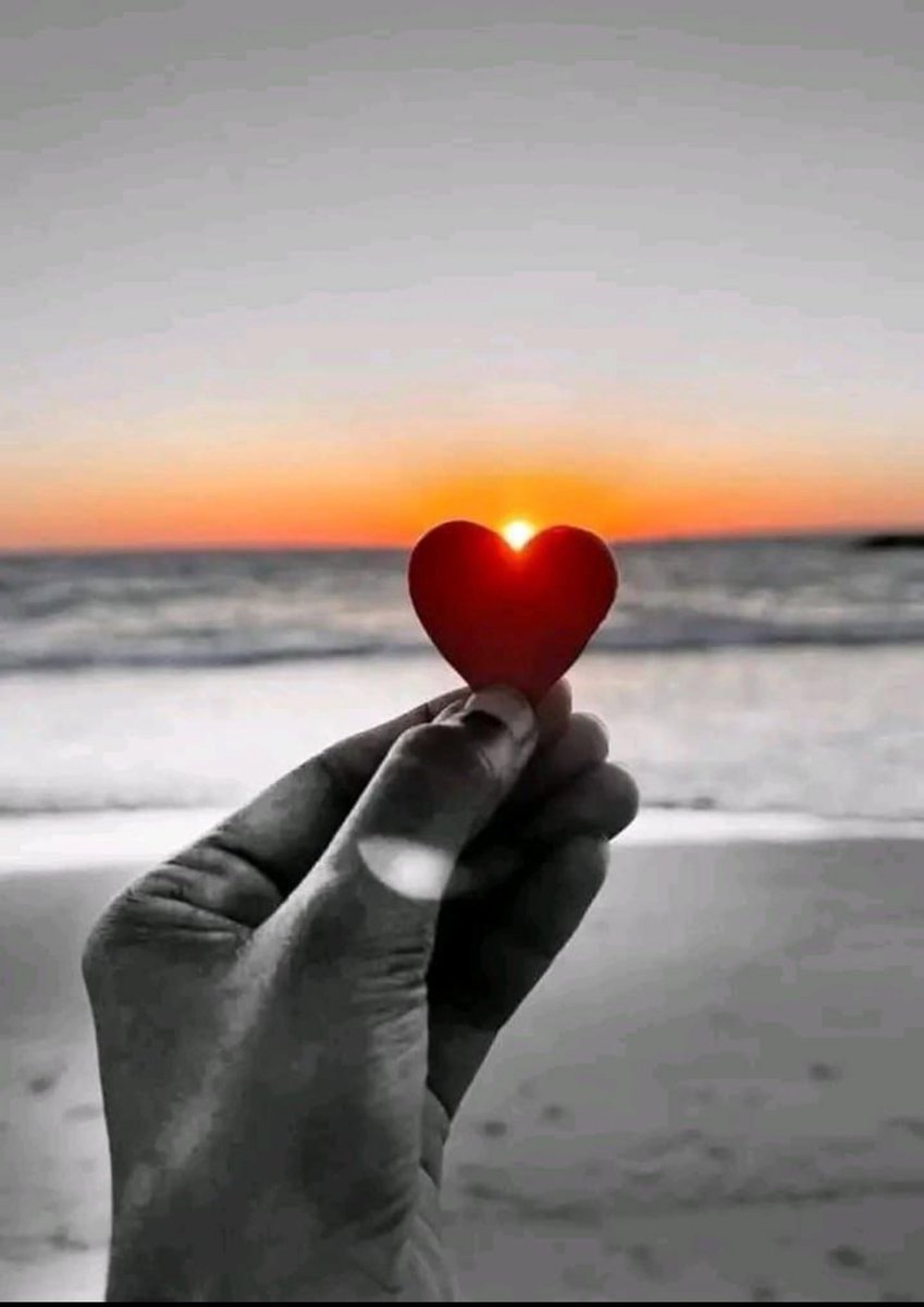 *جميعنا نملك نفس القلب*
*ولكن للأسف..لا نملك نفس النية ونفس الاهتمام والشعور ...😞*

#بوح_آخر_الليل