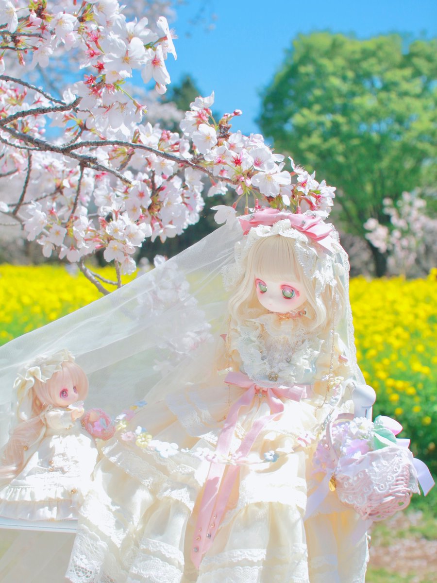 エメリア研究所 tweet media