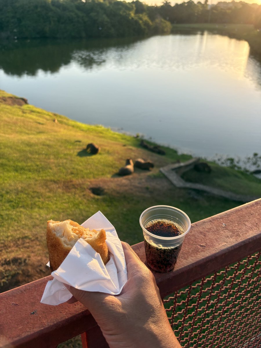 カピゴン松島【南米カピバラ探検家】ビバ南米 tweet media