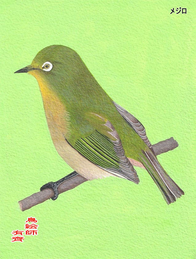 ルナの木靴 tweet media