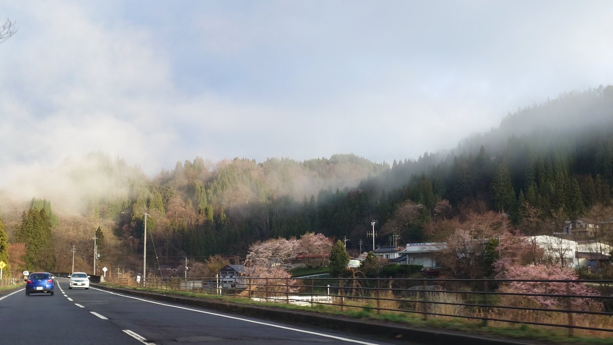 zumi❄❄❄ tweet media