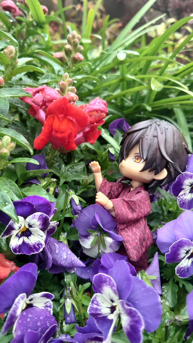 りゅうむ🦔🪡4.19アイドール大阪 tweet media