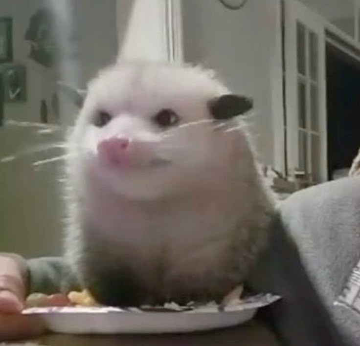 ☆Kₒᵤ𝘴ᵤ𝐩ₑᵢ🦦☆ tweet media